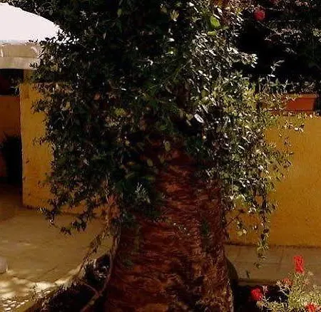 Appartement Veroniki &