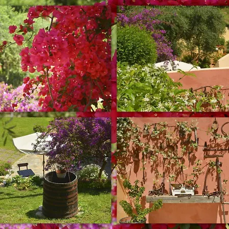 Veroniki & Lägenhet *