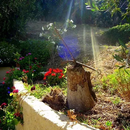 아파트 Veroniki & *